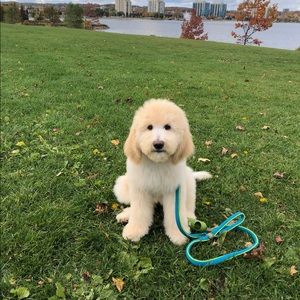 Meet your Posher, Hailey